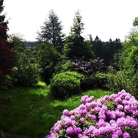 Green Corner Nuerburg Экстерьер фото